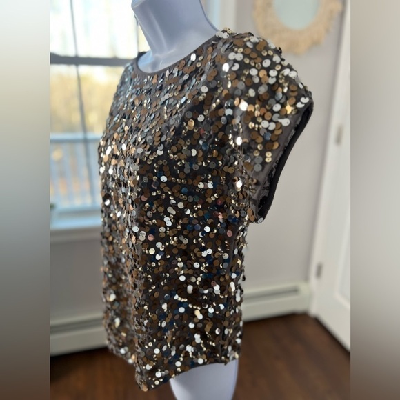 THE Limited Gold Silver Bronze Sequin Short Sleeve Gray Top Size XS - Picture 3 of 13